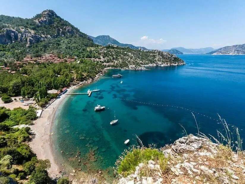 Marmaris’te 65 Milyon TL Değerinde Zeytinlik Satışa Çıkarıldı 2